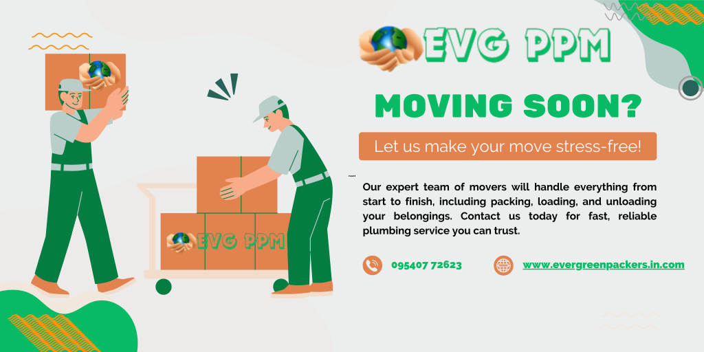 evergreen packers and movers